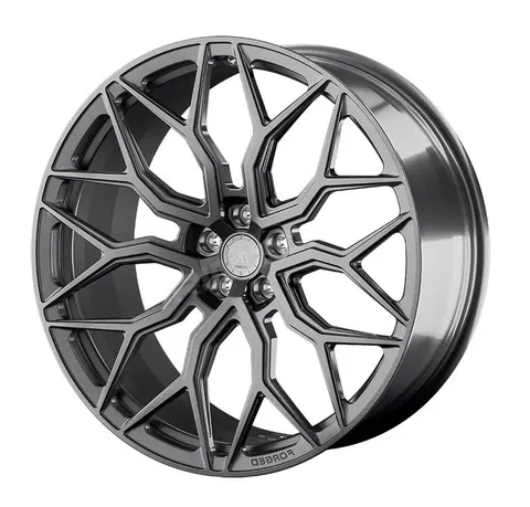 Кованый диск LS FORGED LS FG13 R21 10J 5x112 ET44 dia 66.6