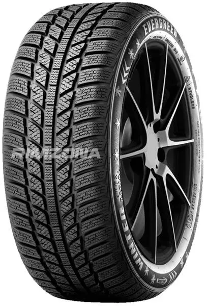 Шина EVERGREEN EW62 205/65 R16 95H