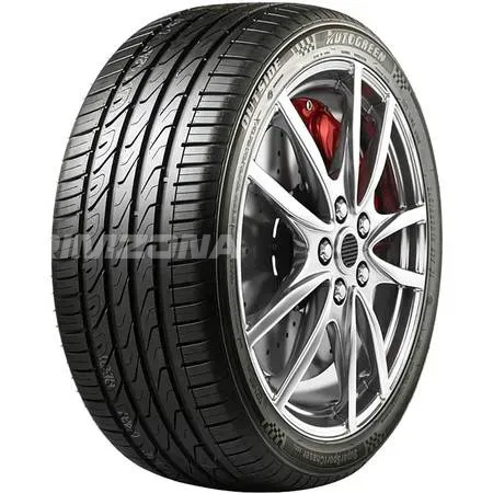 Шина AUTOGREEN SUPERSPORTCHASER-SSC5 205/55 R17 95W